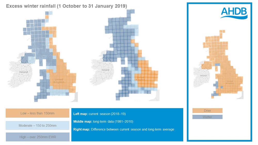 Excess winter rainfall (1 October to 31 January 2019). AHDB.